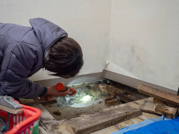 Best Dehumidification Services  in Grand Ronde, OR